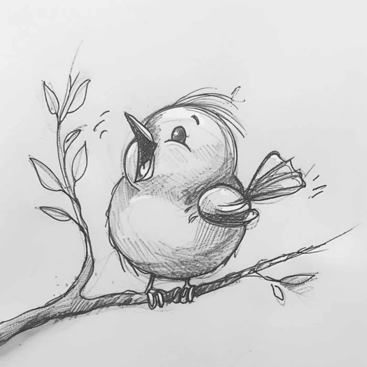 Desenho para Desenhar: Pássaro cantando em um galho