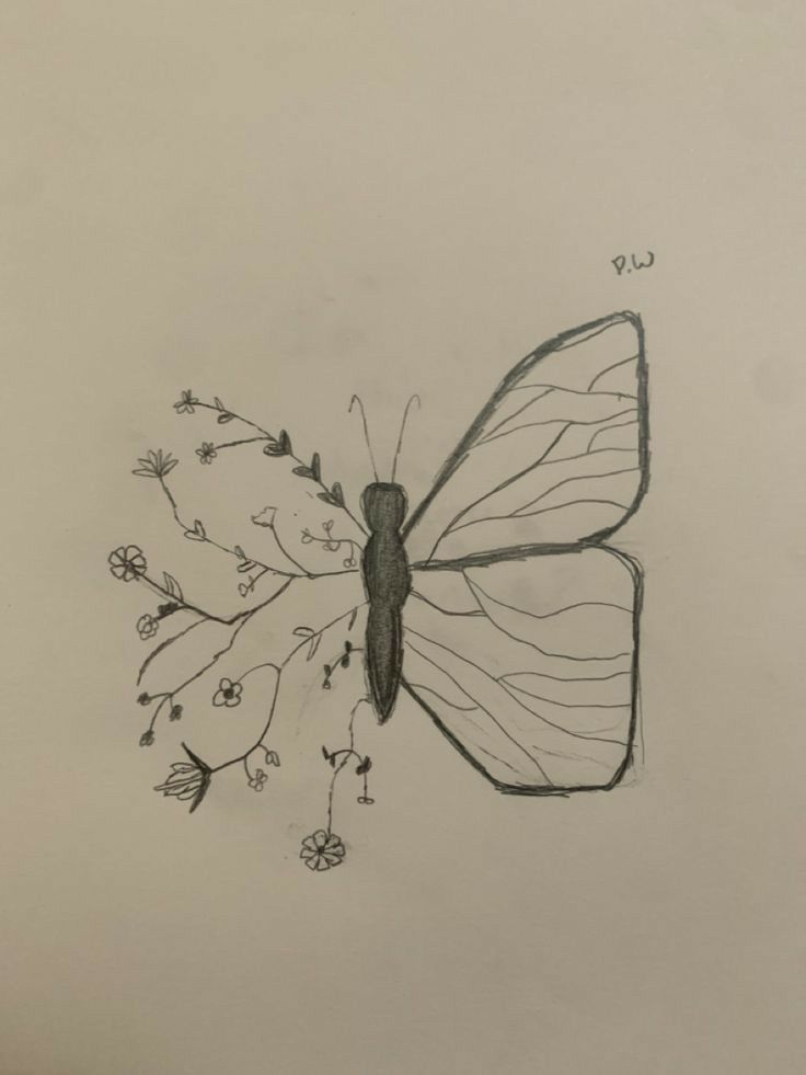 Desenhos para Desenhar de Borboleta com Flores