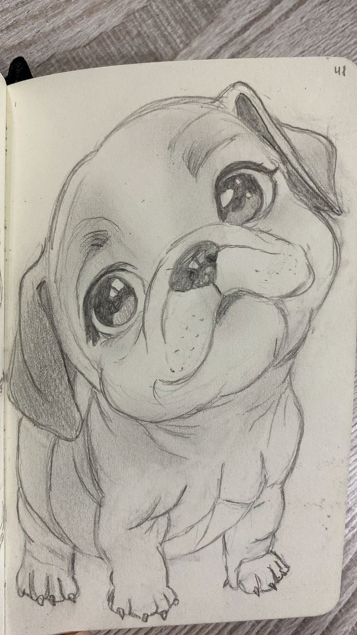 Desenho para Desenhar: Cachorrinho fofinho com olhar meigo