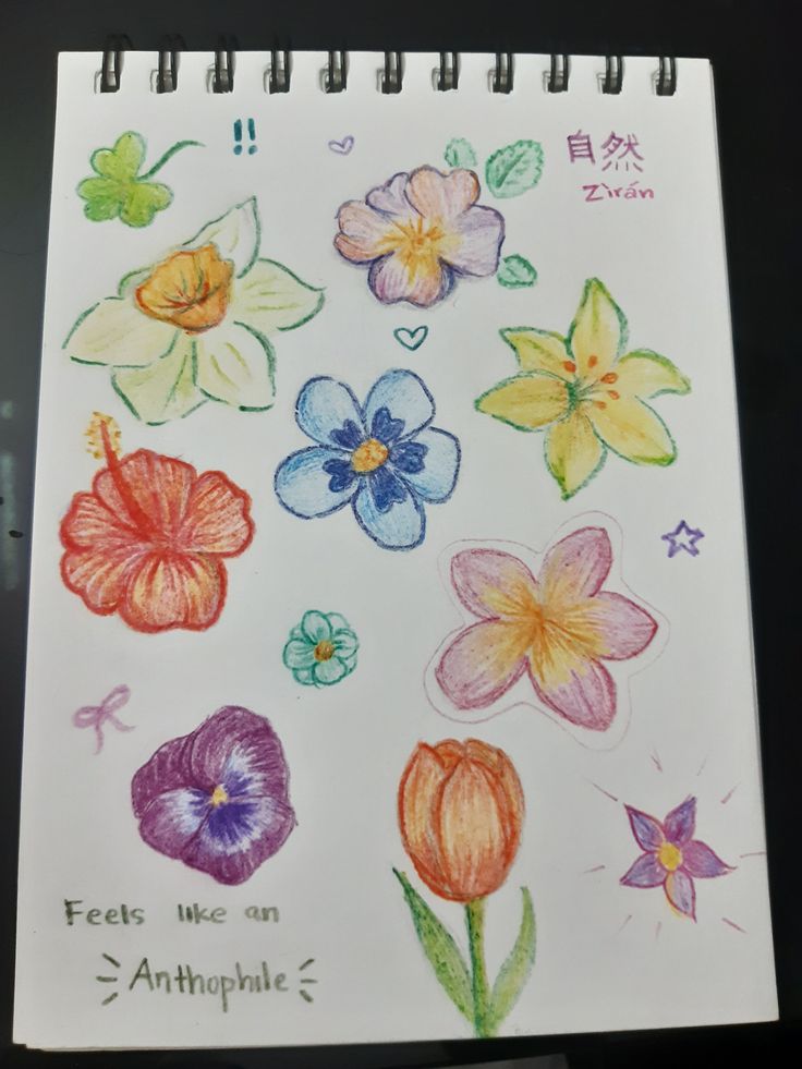 Desenho para Desenhar no Caderno de flores coloridas variadas