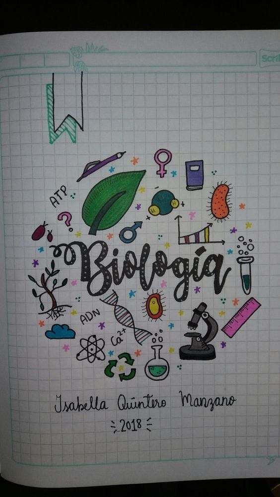 Desenho para Desenhar no Caderno de biologia com elementos diversos