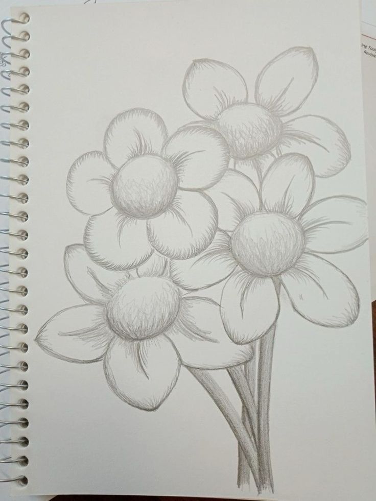 Desenho para Desenhar no Caderno de flores em lápis de grafite