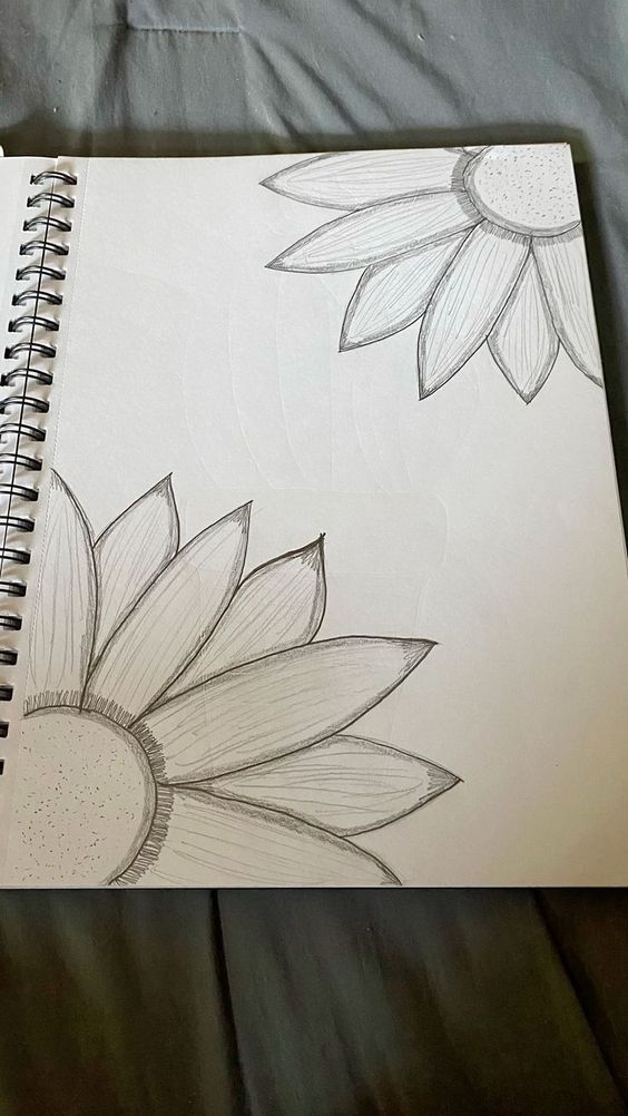 Desenho para Desenhar no Caderno de flores de girassol em esboço