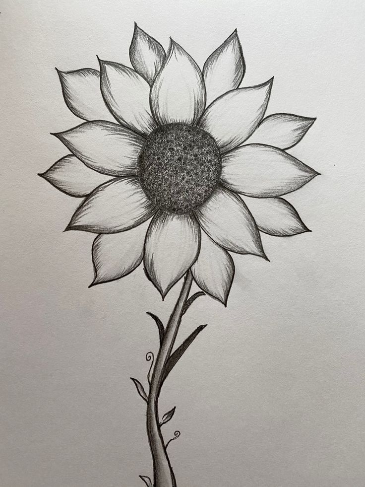 Desenho para Desenhar no Caderno de flor de girassol detalhada
