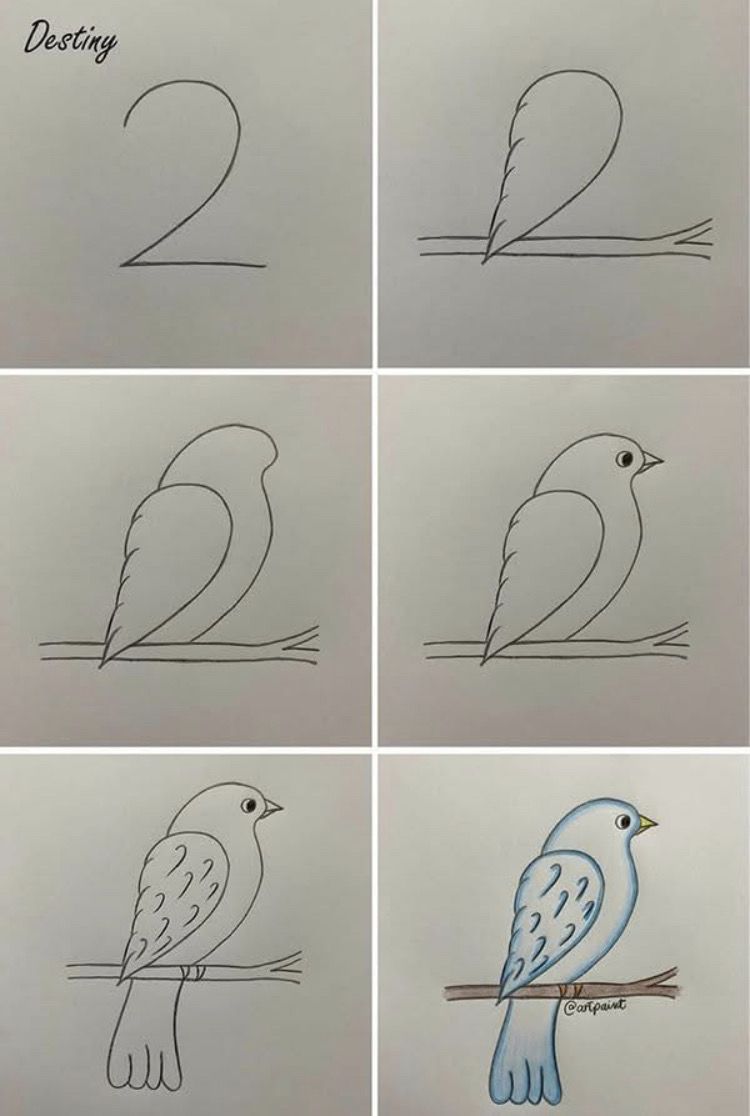 Desenhos Fáceis: Como desenhar um Pássaro fofo a lápis