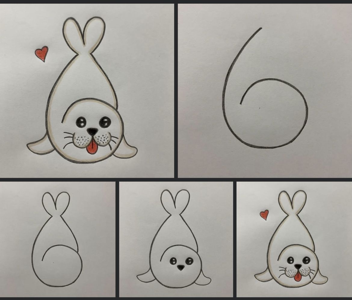 Desenhos Fáceis: Como desenhar uma foca fofa a lápis