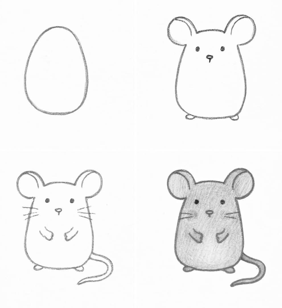 Desenhos Fáceis: Como desenhar um Rato fofo a lápis