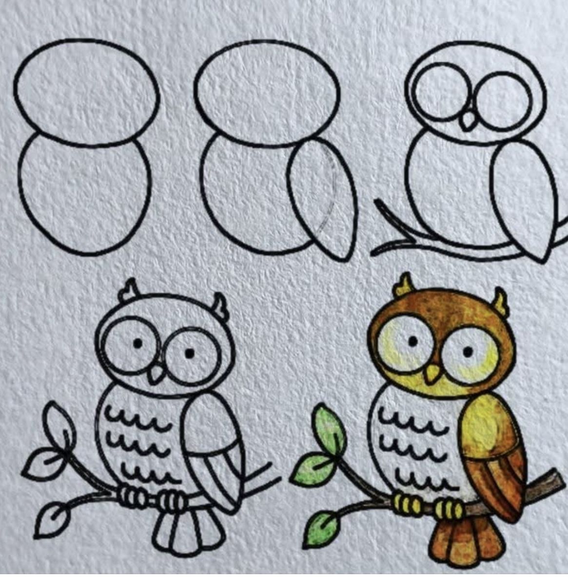 Desenhos Fáceis: Como desenhar um Coruja fofa a lápis