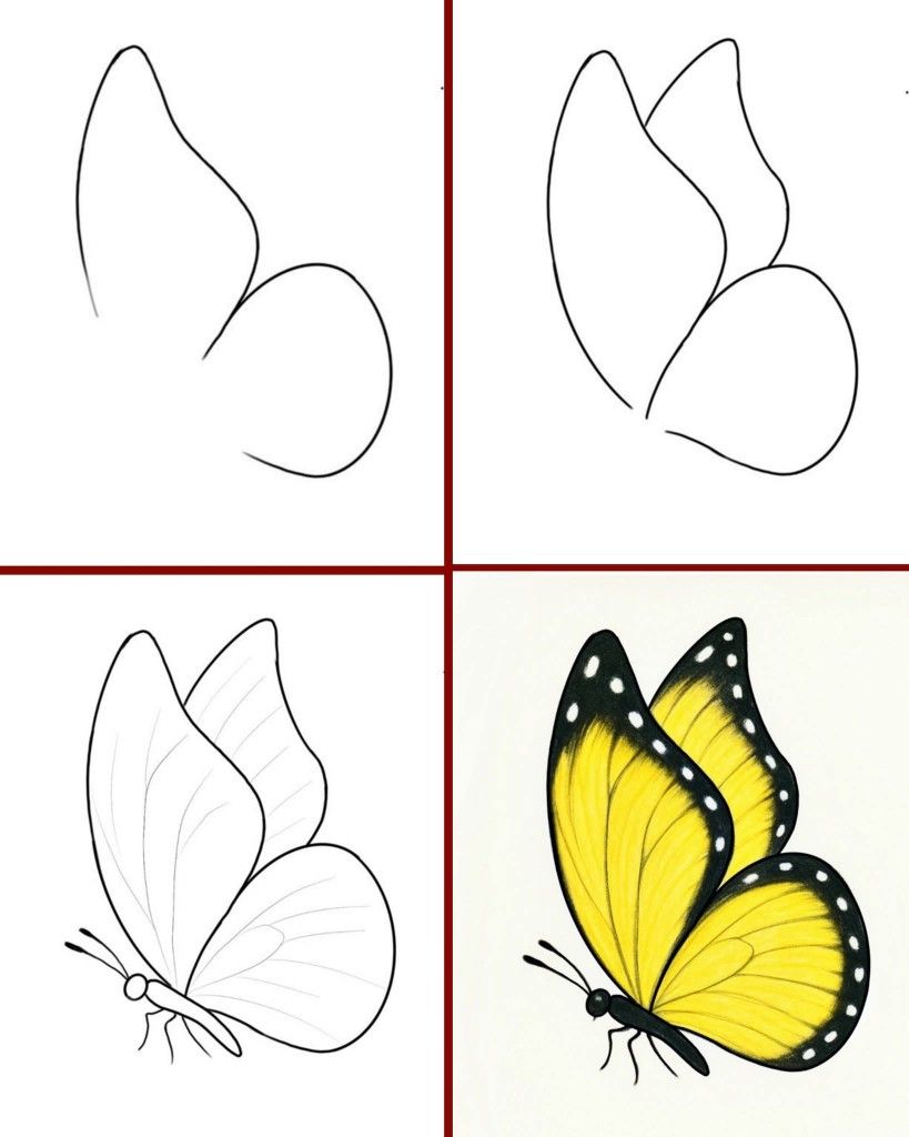 Desenhos Fáceis: Como desenhar uma Borboleta fofa a lápis