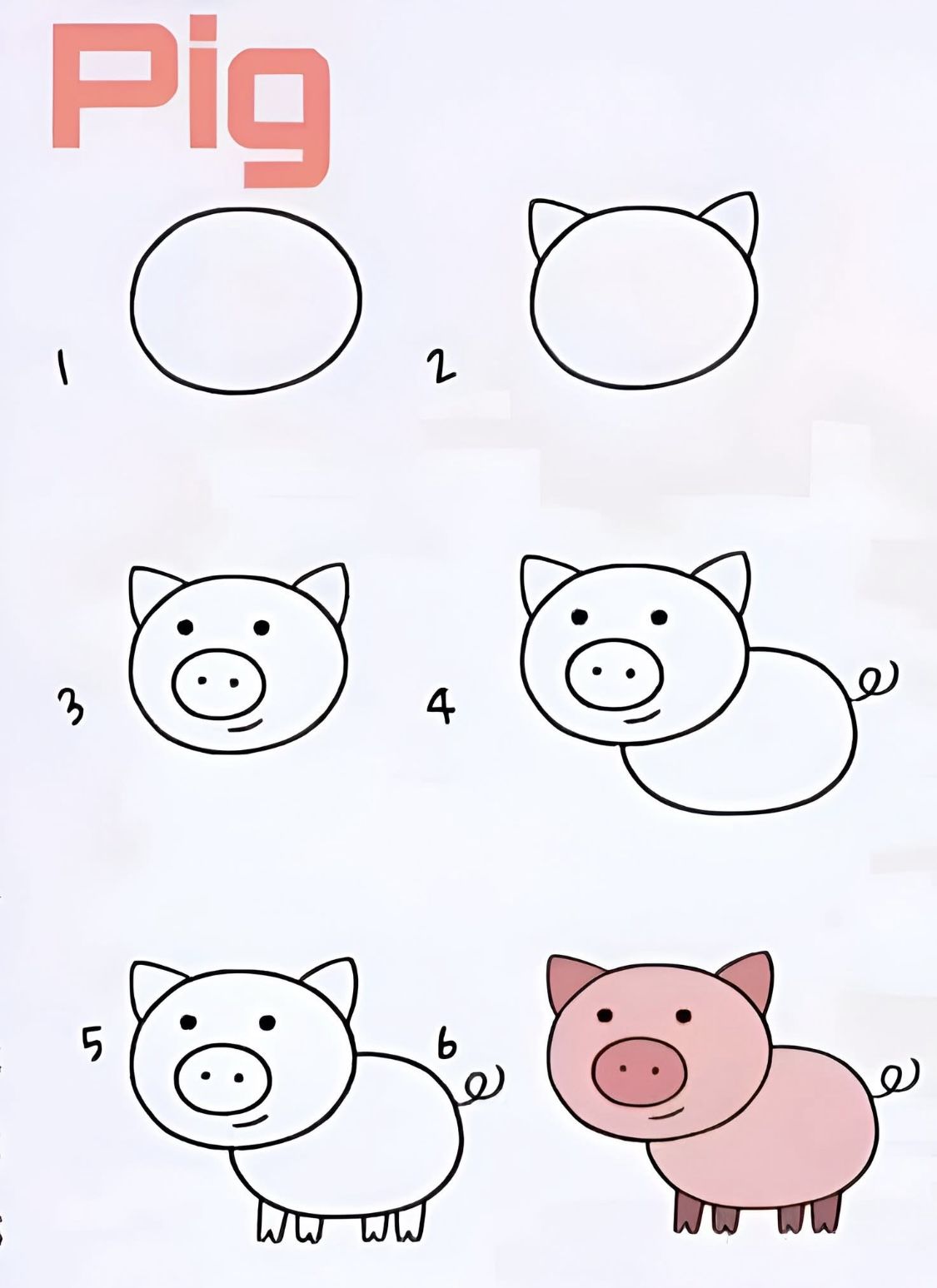 Desenhos Fáceis: Como desenhar um porquinho fofo a lápis