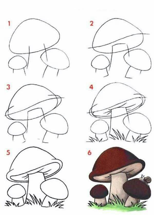 Desenhos Fáceis: Como desenhar cogumelos de forma simples