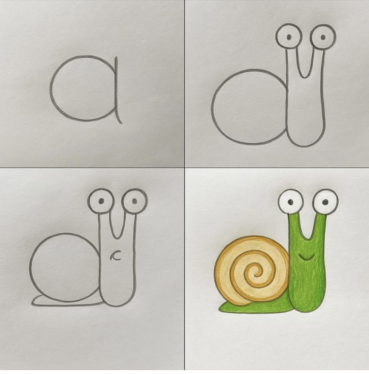 Desenhos Fáceis: Como desenhar um Caracol fofo a lápis