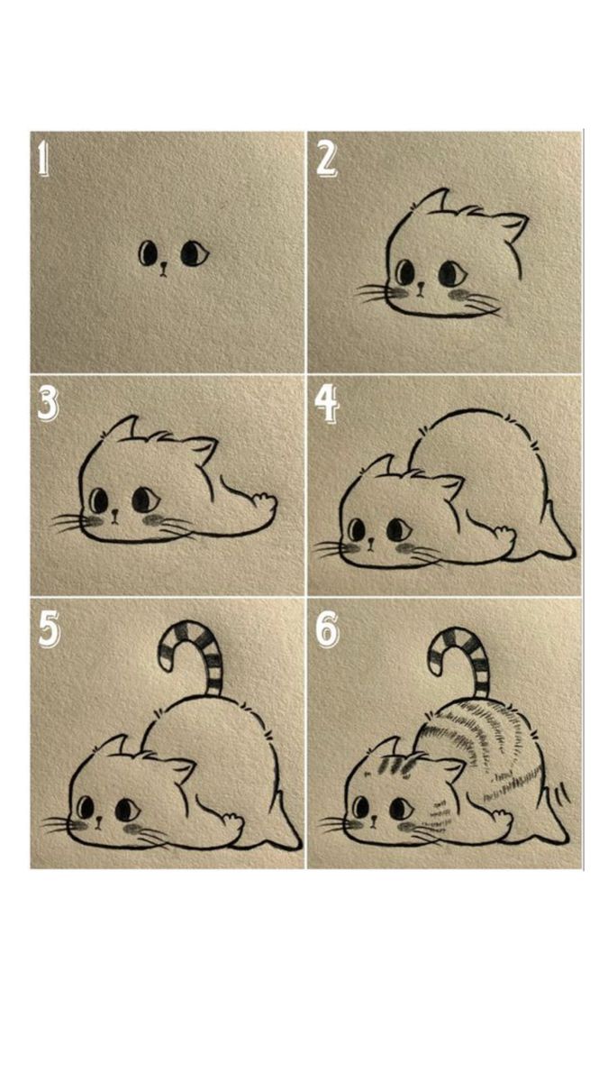 Desenhos Fáceis: Como desenhar um gato fofo a lápis