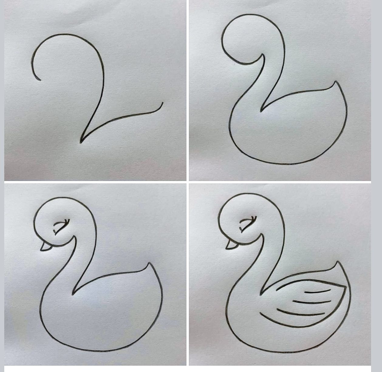 Desenhos Fáceis: Como desenhar um Cisne a lápis