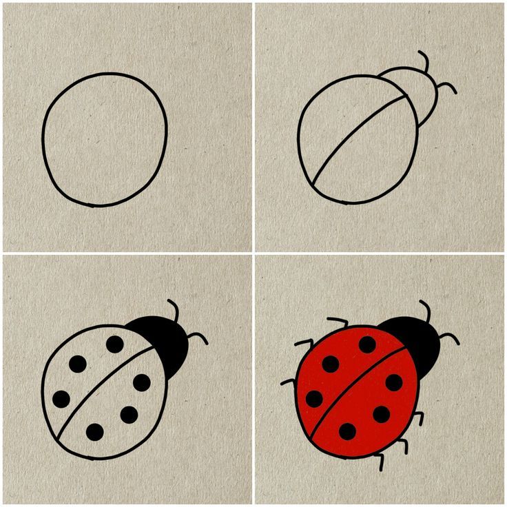 Desenhos Fáceis: Como desenhar uma Joaninha simples