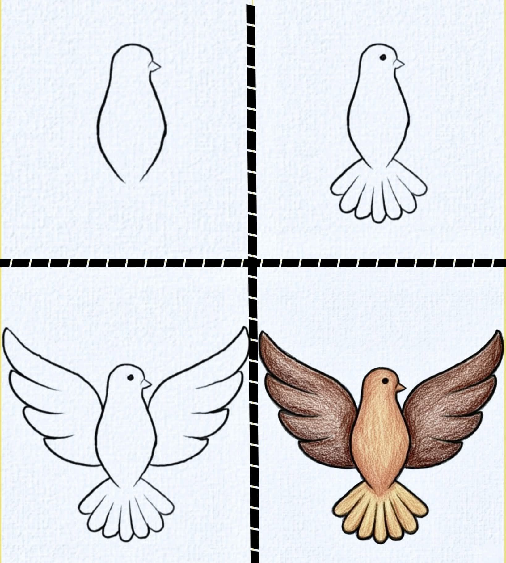 Desenhos Fáceis: Como desenhar um Pássaro fofo a lápis