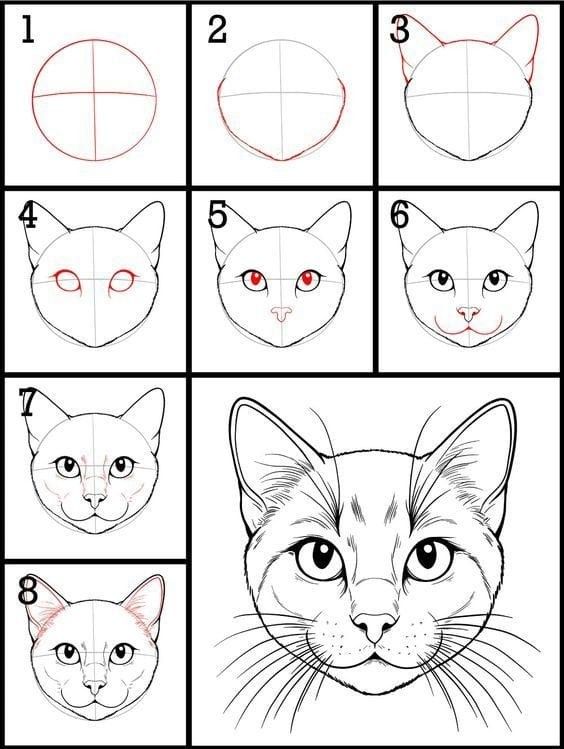 Desenhos Fáceis: Como desenhar um Gato fofo e realista
