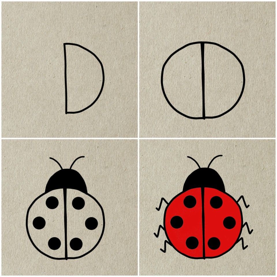 Desenhos Fáceis: Como desenhar uma joaninha fofa