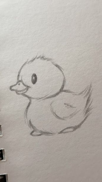 Desenho Fácil para Desenhar de Pato fofo com penas suaves