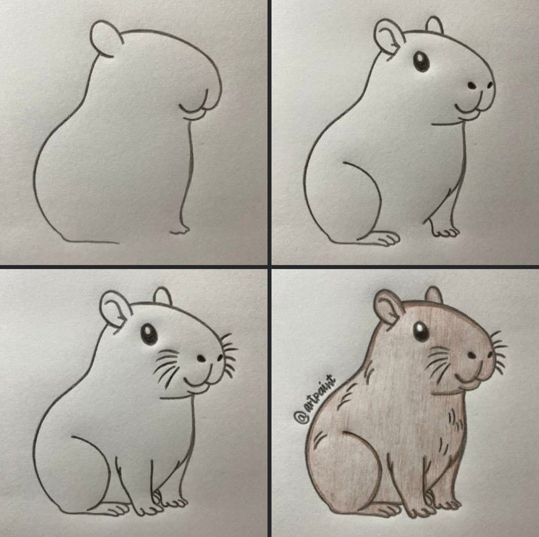 Desenhos Fáceis: Como desenhar um porquinho-da-índia fofo