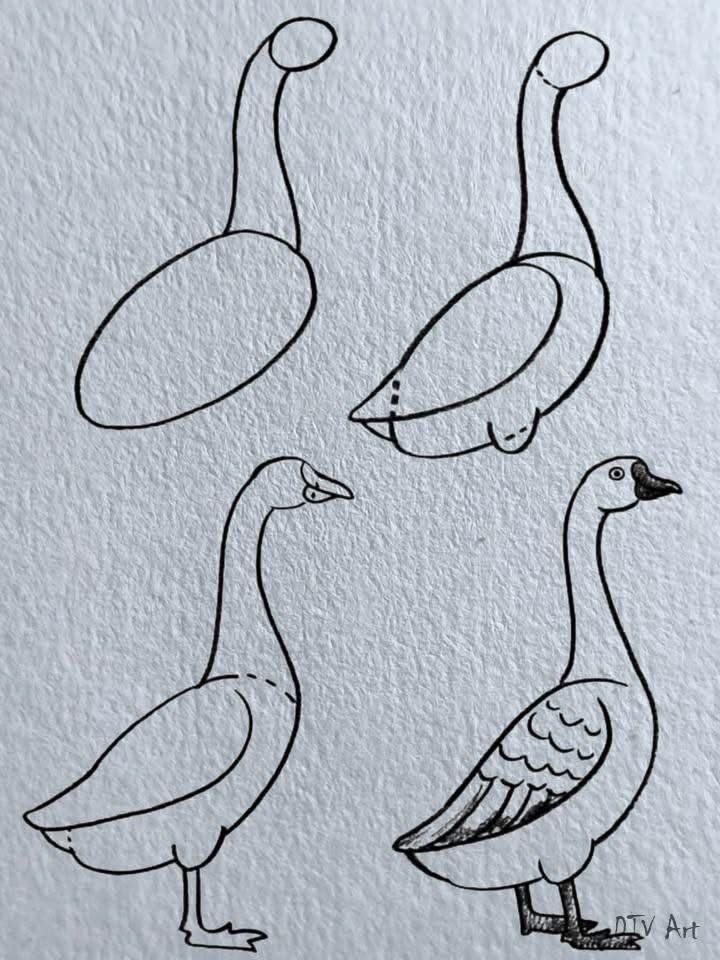 Desenhos Fáceis: Como desenhar um Pato de forma simples