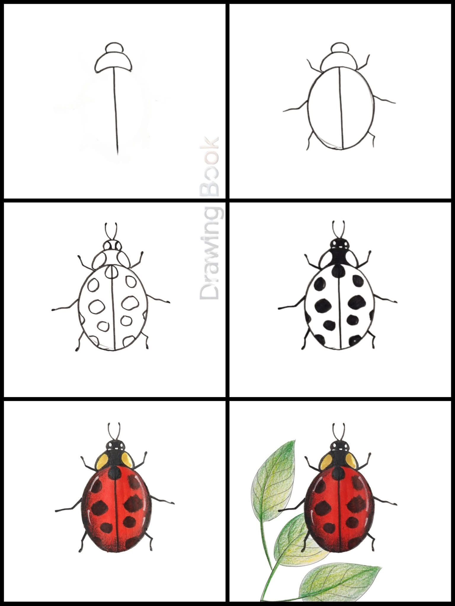 Desenhos Fáceis: Como desenhar uma joaninha fofa