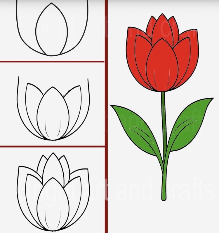 Desenhos Fáceis: Como desenhar uma flor simples a lápis
