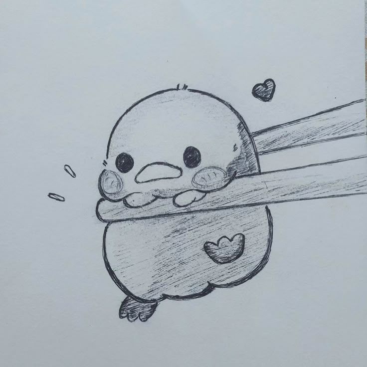 Desenhos Fofos: Pássaro fofo a lápis para desenhar