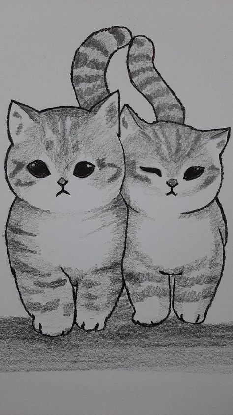 Desenhos Fofos: Gatinhos fofos a lápis para desenhar