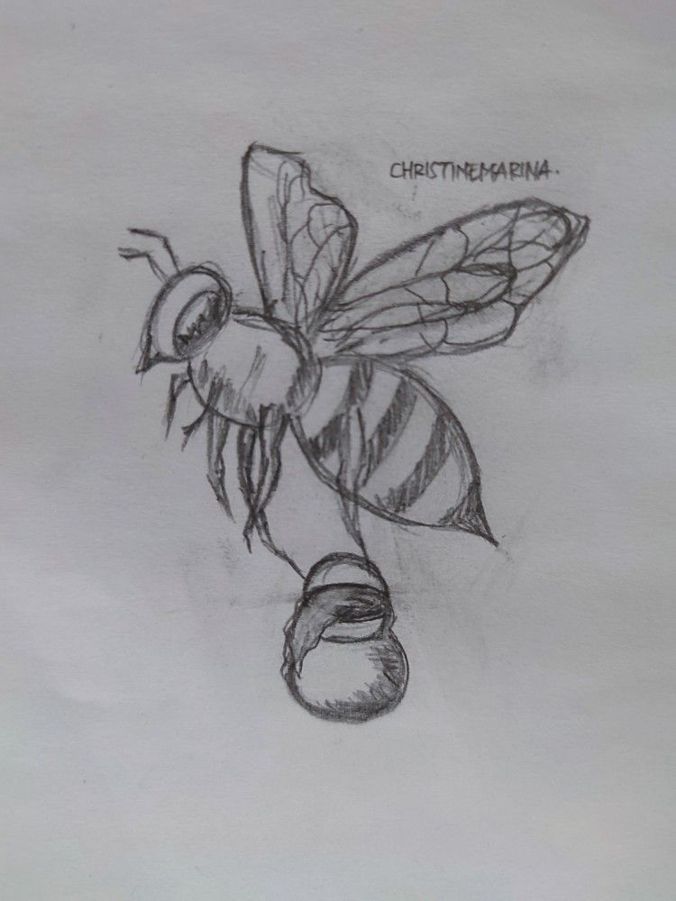 Desenhos de Abelha Abelha realista com asas abertas para desenhar