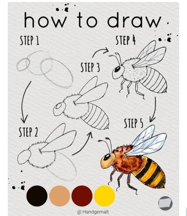 Desenhos de Abelha: tutorial simples de como desenhar uma abelha