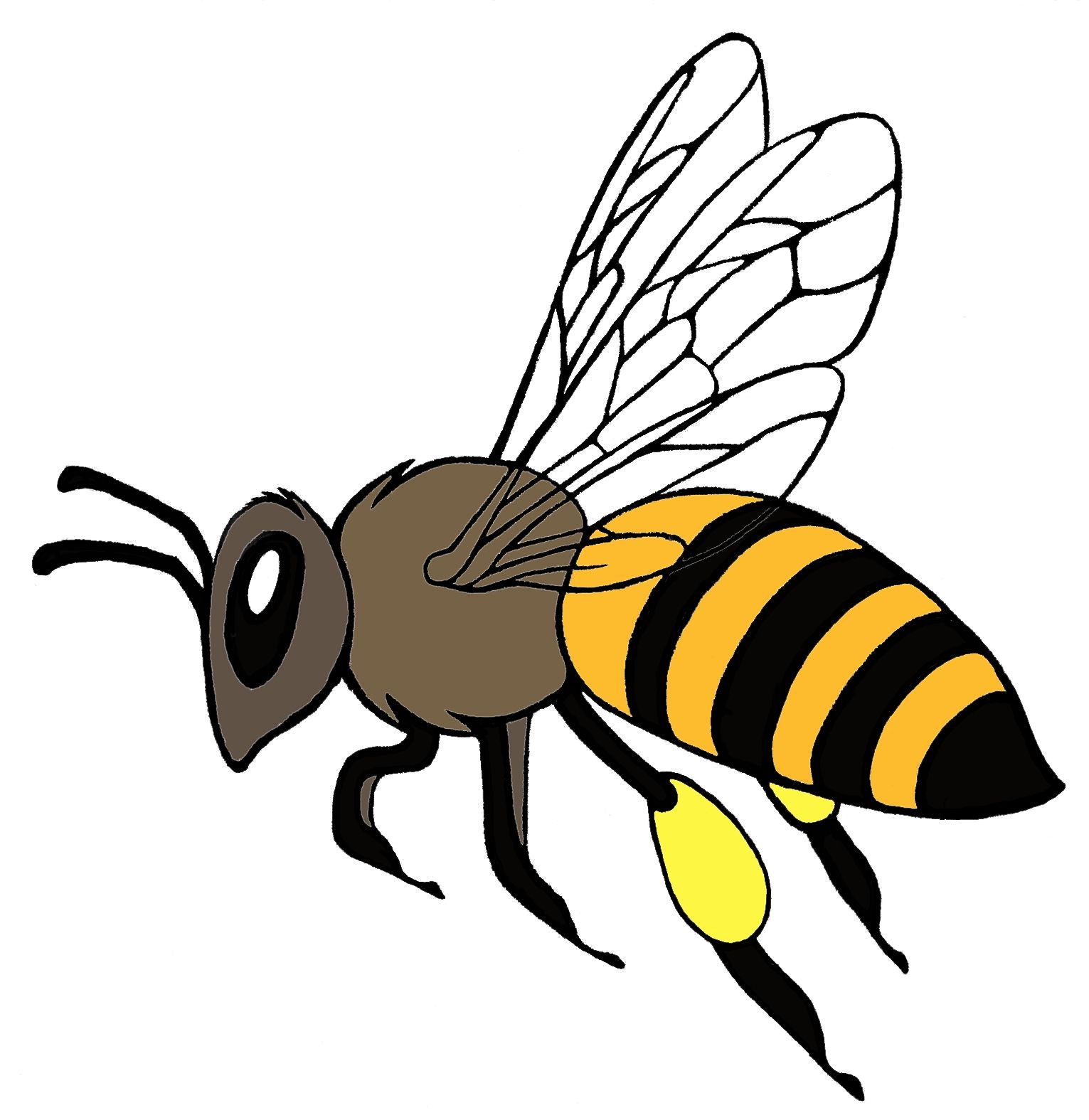 Desenhos de Abelha: Abelha fofa e simples para desenhar