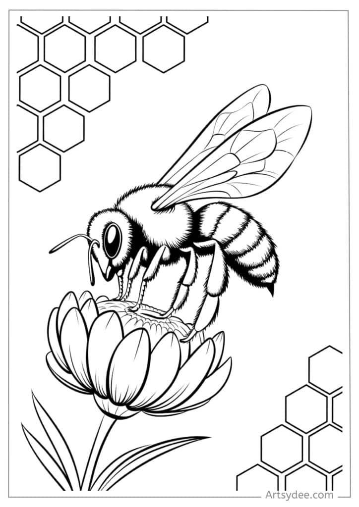 Desenhos de Abelha: Abelha fofa em uma flor para desenhar
