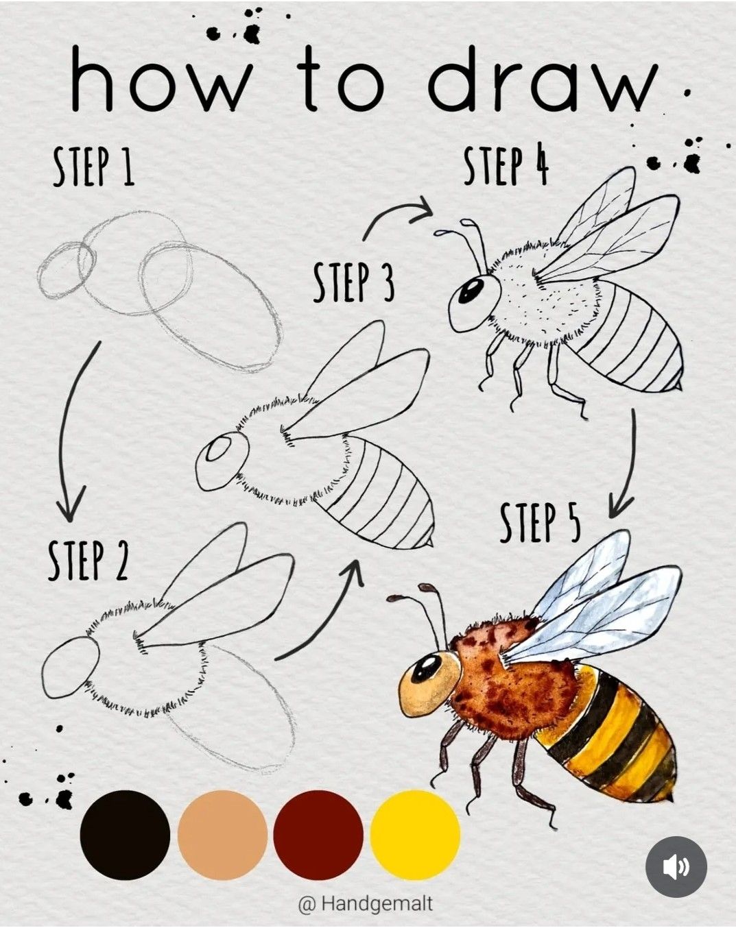 Desenhos de Abelha: passo a passo para desenhar uma abelha