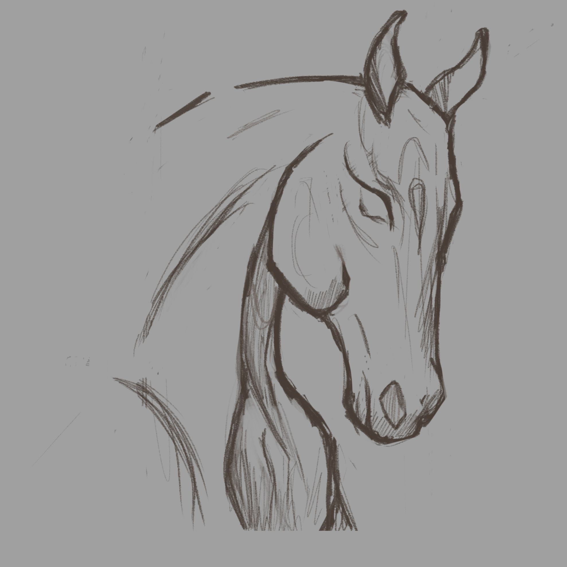 Desenhos de Cavalo: Cavalo Realista a Lápis para desenhar