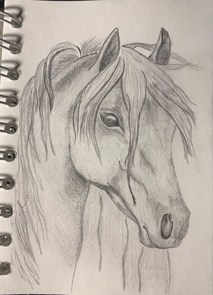 Desenhos de Cavalo: Cavalo realista a lápis para desenhar