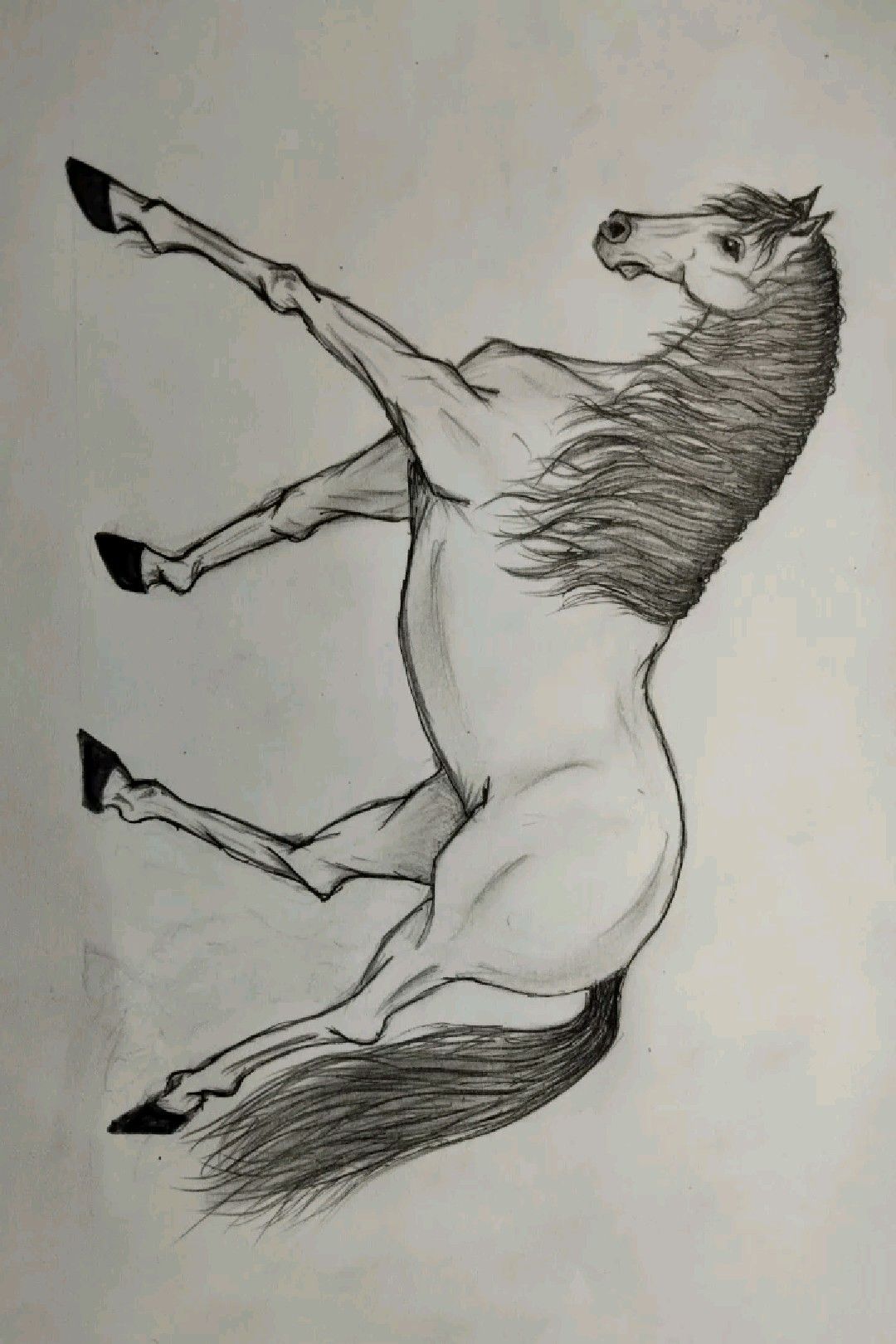 Desenhos de Cavalo Realista a Lápis para desenhar facilmente