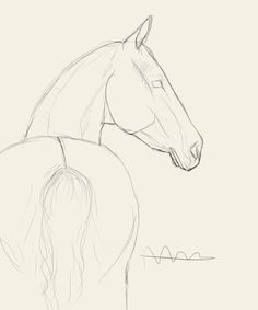 Desenhos de Cavalo: Cavalo a lápis simples para desenhar