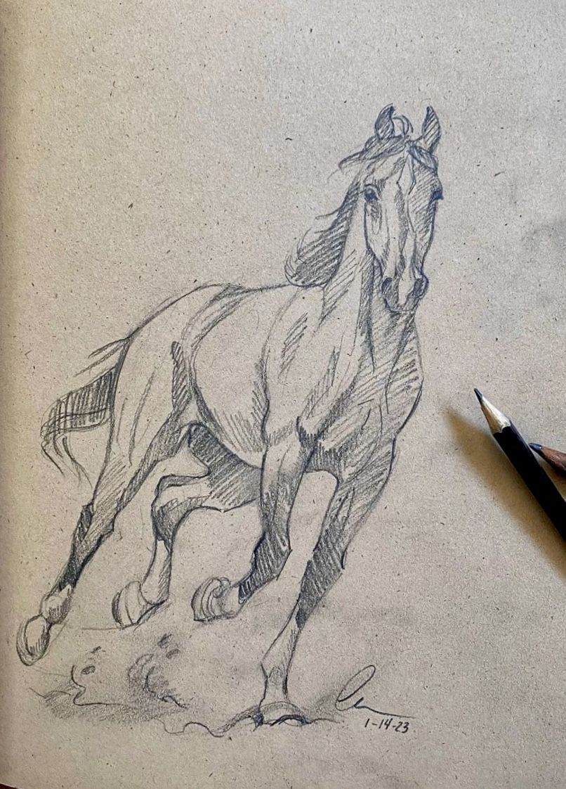 Desenhos de Cavalo: Cavalo a lápis realista para desenhar