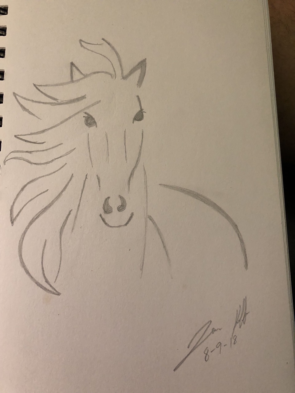 Desenhos de Cavalo: Cavalo com cabeleira para desenhar fácil