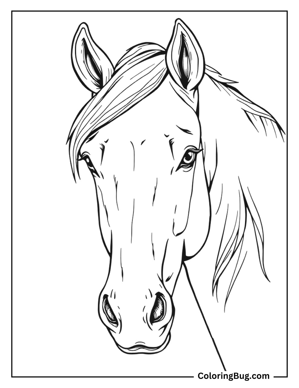 Desenhos de Cavalo: Cavalo realista a lápis para desenhar