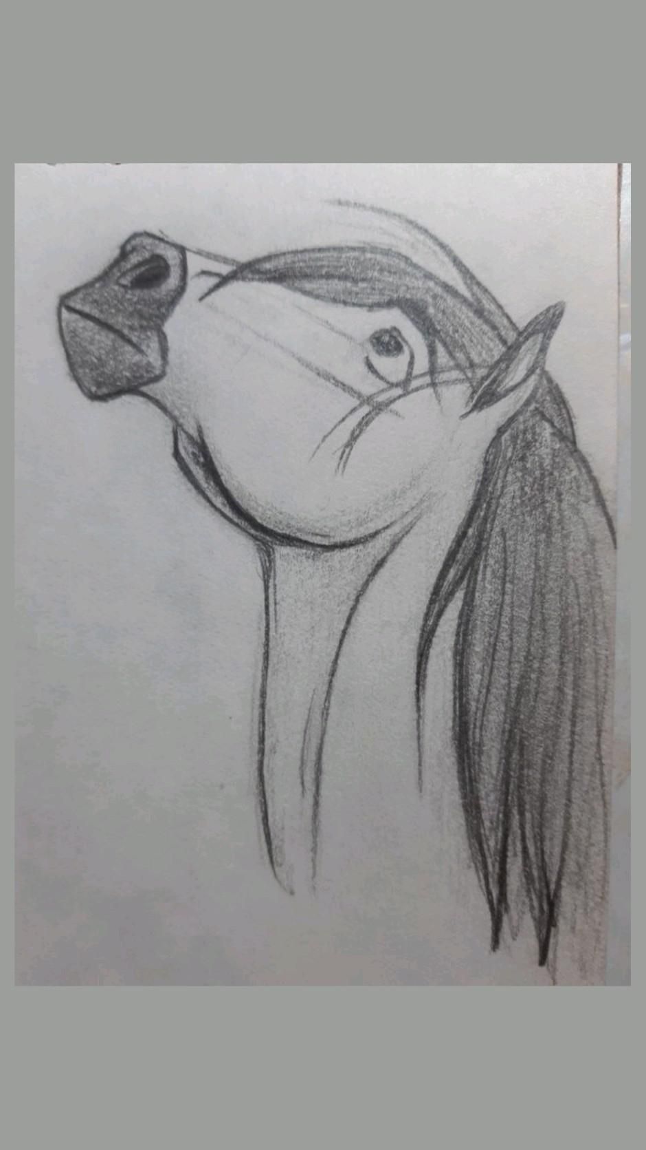 Desenhos de Cavalo: Cavalo realista a lápis para desenhar