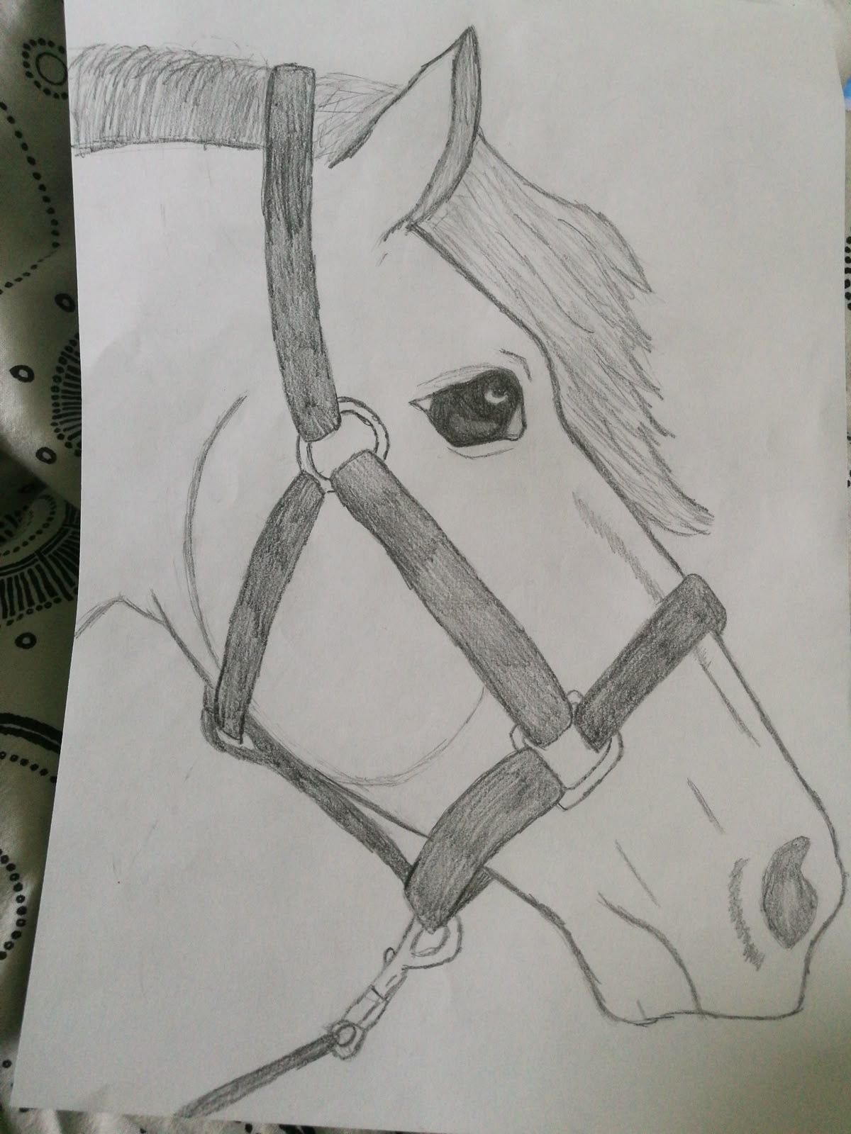 Desenhos de Cavalo: Cabeça de cavalo realista a lápis para desenhar
