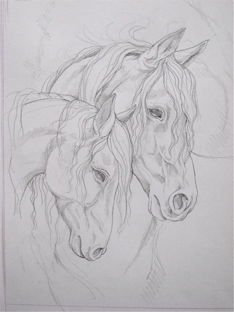 Desenhos de Cavalo: dois cavalos realistas a lápis para desenhar