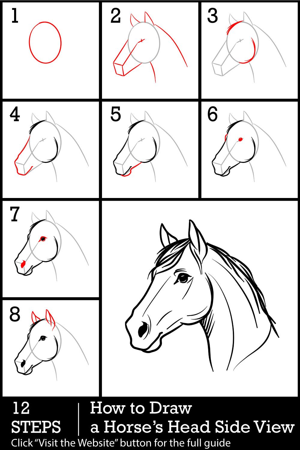 Desenhos de Cavalo: Passos para desenhar a cabeça de um cavalo