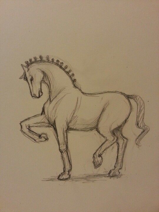 Desenhos de Cavalo: Cavalo Realista em pé a lápis para desenhar