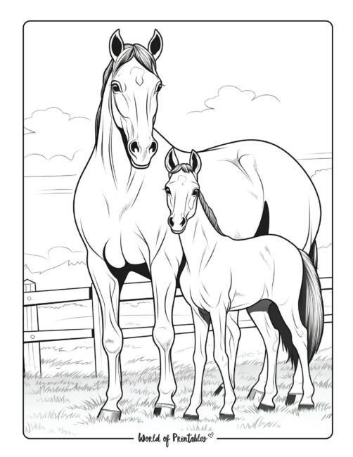 Desenhos de Cavalo: Cavalo realista e potro para desenhar