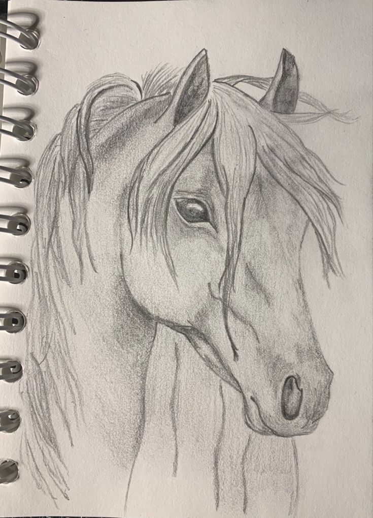 Desenhos de Cavalo: Cavalo realista a lápis para desenhar