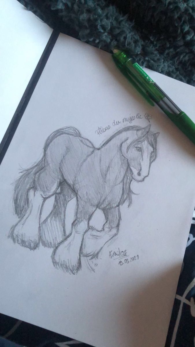 Desenhos de Cavalo: Cavalo realista em lápis para desenhar