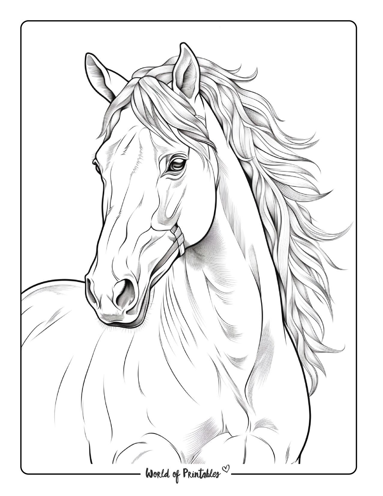 Desenhos de Cavalo: Cavalo realista para desenhar a lápis